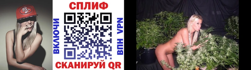 Шишки марихуана планчик  купить  сайты  Печора 